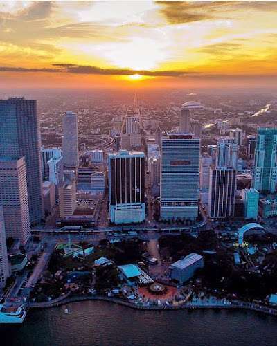 Milosevic Law P.A. – Personal injury, Lawyer