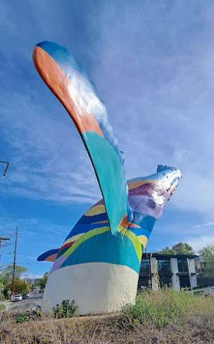 Lieberman Siebers & Wood Law Firm