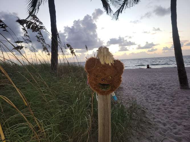 Bonnie Z Scheflin Law Office PA