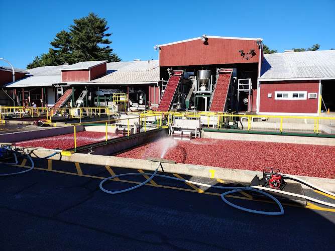 Clement Pappas & Co Inc