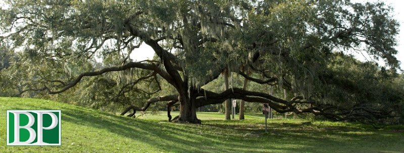 Beth A. Prather, P.A.