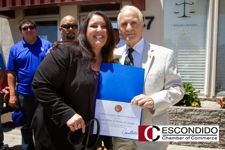 Law Offices of Nadine M. Sayegh