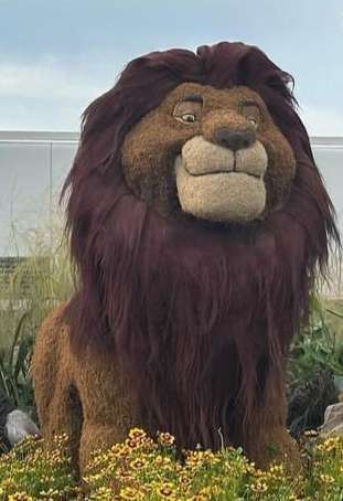 Law Offices of Joe A. Flores