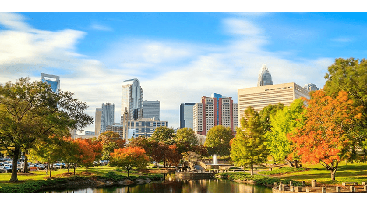 The Wood Law Firm, PA