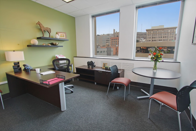 Lake Superior Law, PLLC