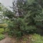 New Jersey Women In Law