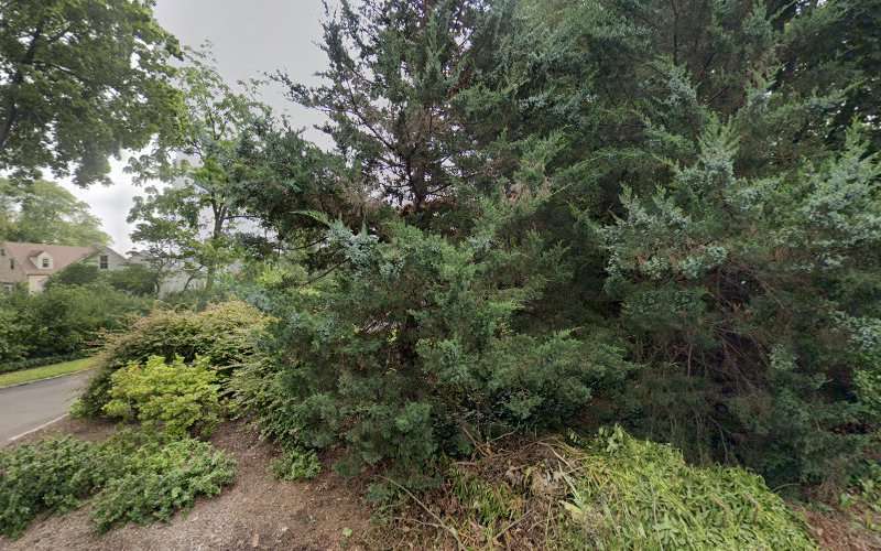 New Jersey Women In Law