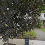 Mary Louise Parker Esq. & Associates LLC