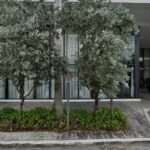 Lisa I. Glassman, P.A.