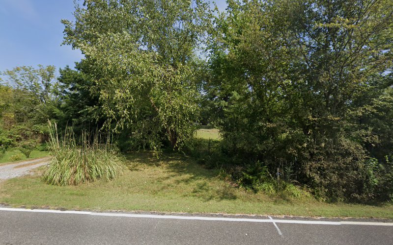 Dianna Riddick, Attorney at Law