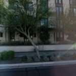 Arizona Center-Law In