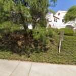 Patrick R Little-Law Offices