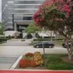 Bird Loechl McCants & Holliday