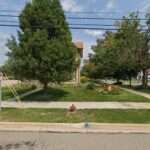 Glassen Rhead Mc Lean Campbell