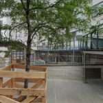 Chandra Law Offices, P.C.