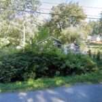 My Legal Pit Stop, Legal Technicians