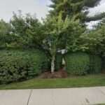 Drisgula & Thatcher LLC