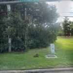 Wyly – Rommel, PLLC