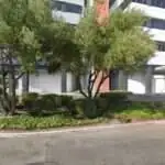 Iscandari Law Group