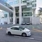 GrayRobinson Tampa Law Firm