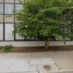 Rowe International Law Group LC