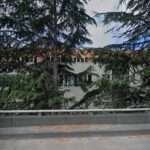 The Schauer Law Offices