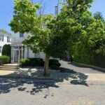 Fernandes & Finnerty