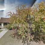 Behnke Martin & Schulte LLC