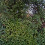 Hutchens Law Firm LLP