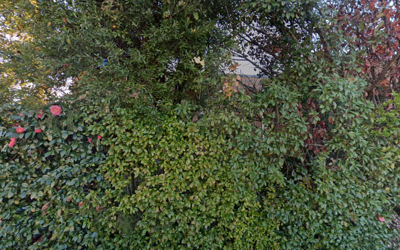 Hutchens Law Firm LLP