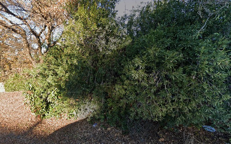 McCarthy & Rubright, LLP