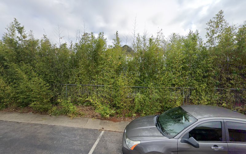 Davidson Legal Services of Georgia, LLC