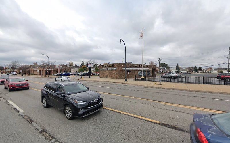 Law Offices of George A. Saba