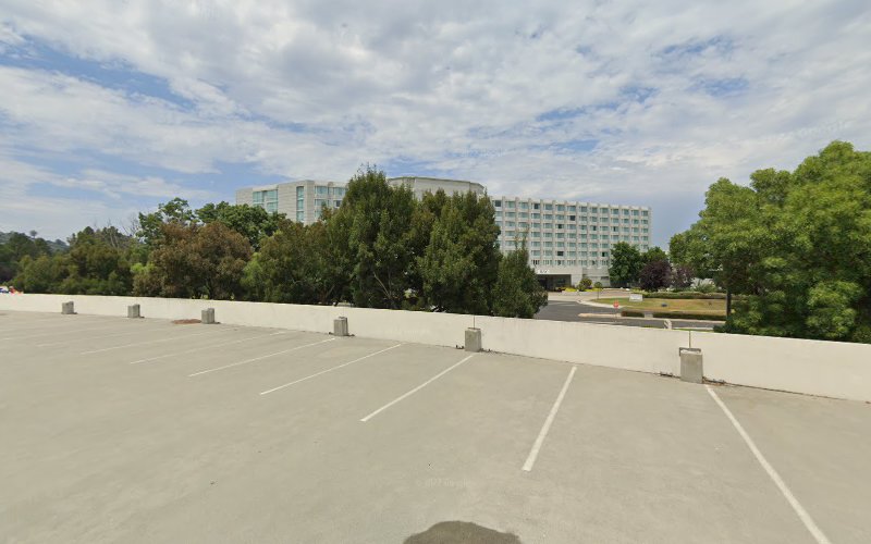 Law Offices of Bradley D. Bayan