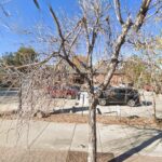 Springman, Braden, Wilson, & Pontius, P.C.