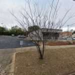 Keith Rodgers & Associates LLC