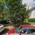 Tremblay & Smith Attys