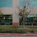 Denison Werner Macias Travis, LLP