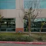 Denison Werner Macias Travis, LLP