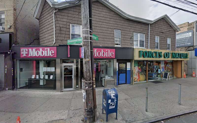 Aliyeva & Associates, PC