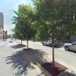 The Law Firm of Marco Palumbo & Associates