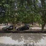 Law Office of William T Morton