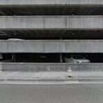 Breeding Carter Crippen