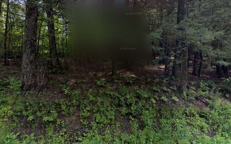 Nathan R Lynch PLLC: Lynch Nathan R