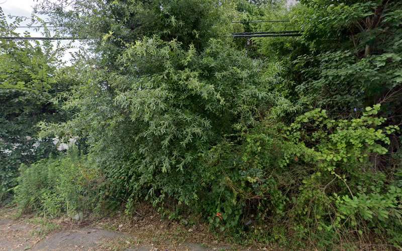 Attorney Charles Havener