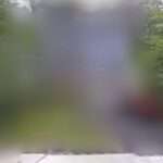 Ross S Delston Law Office