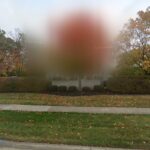 Babb, Anderson, Rowland & Smith