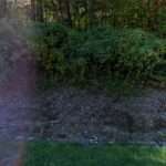 Thomas L. Phillips Jr.