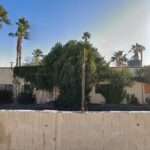 Gayle Nathan Atty & Counselor