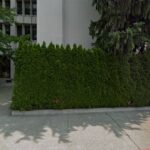 CMS Law Firm LLC – Estate Planning and Probate Lawyers